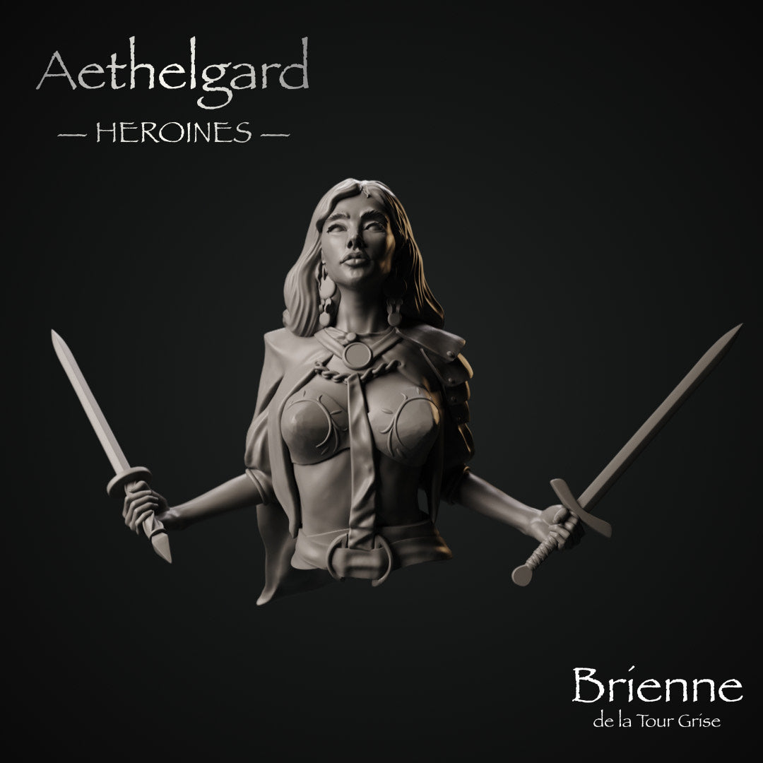 Brienne, de la Tour Grise