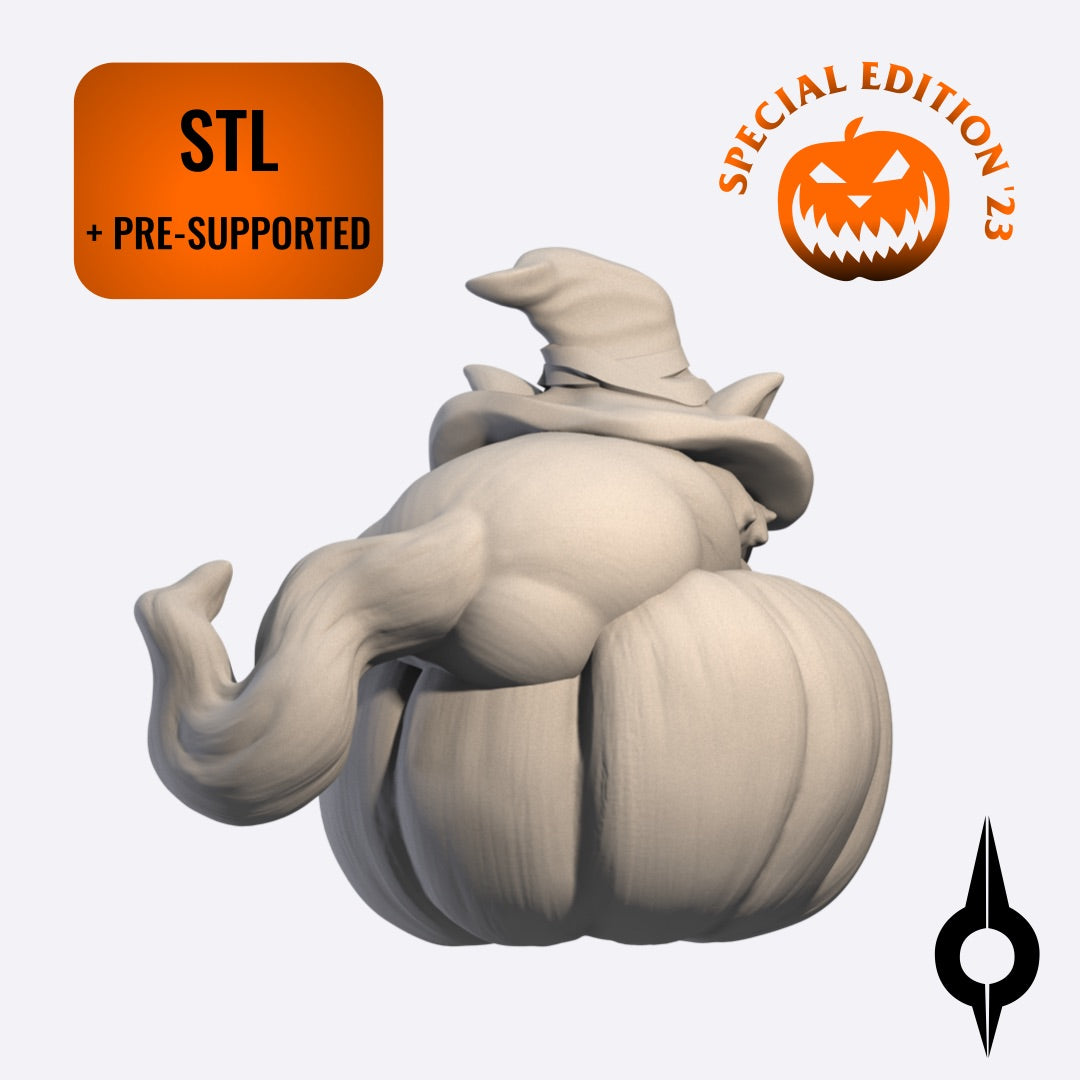 Hazy The Cat - STL File